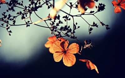 Trusting you